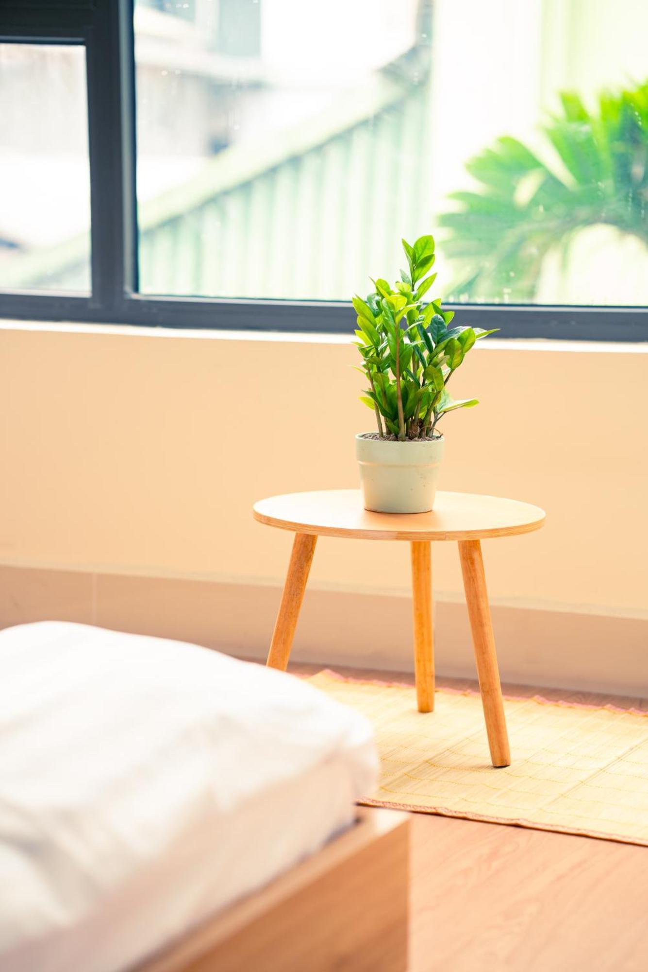 Apartment Bamboo Breeze *