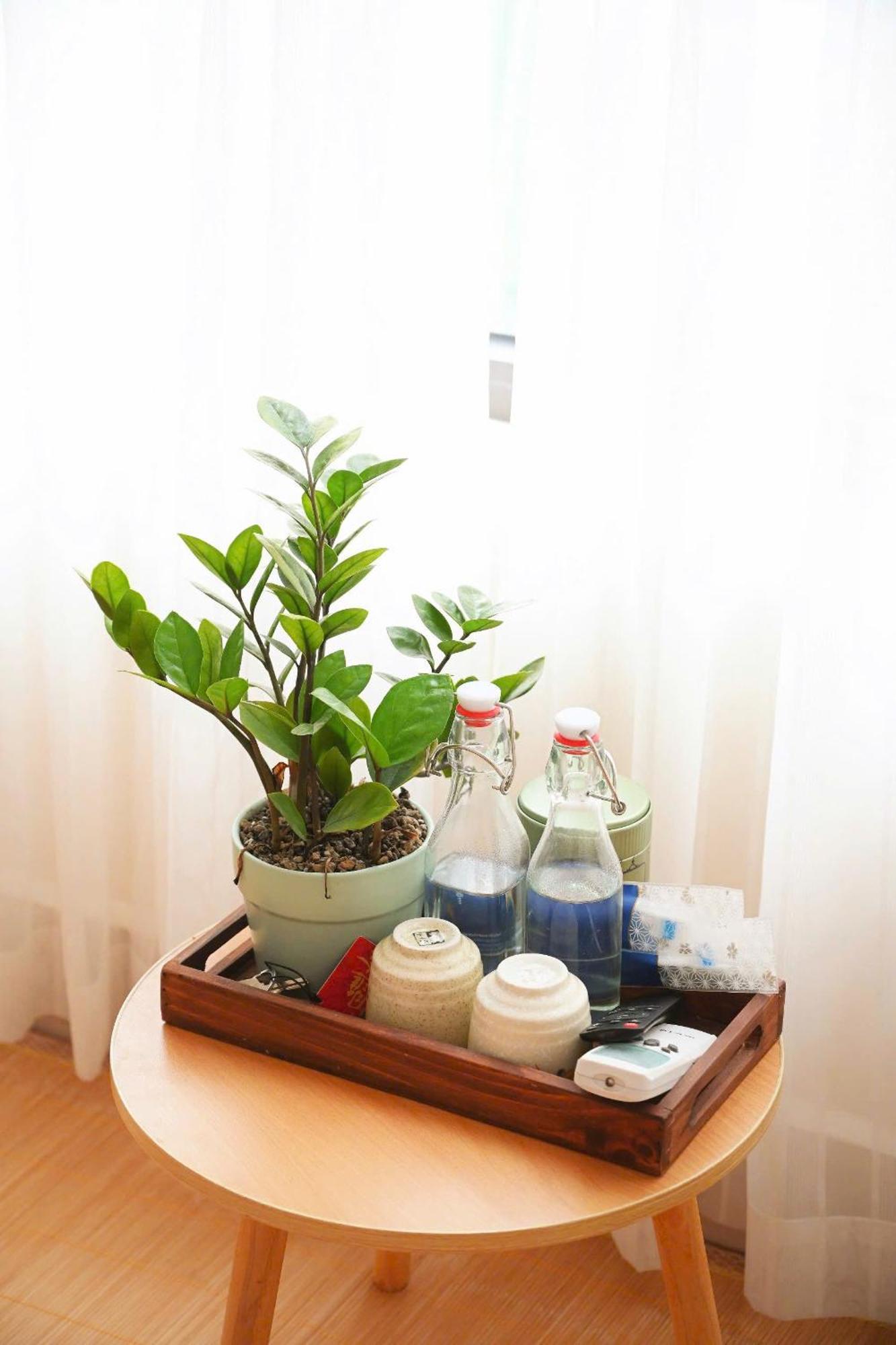 Bamboo Breeze *