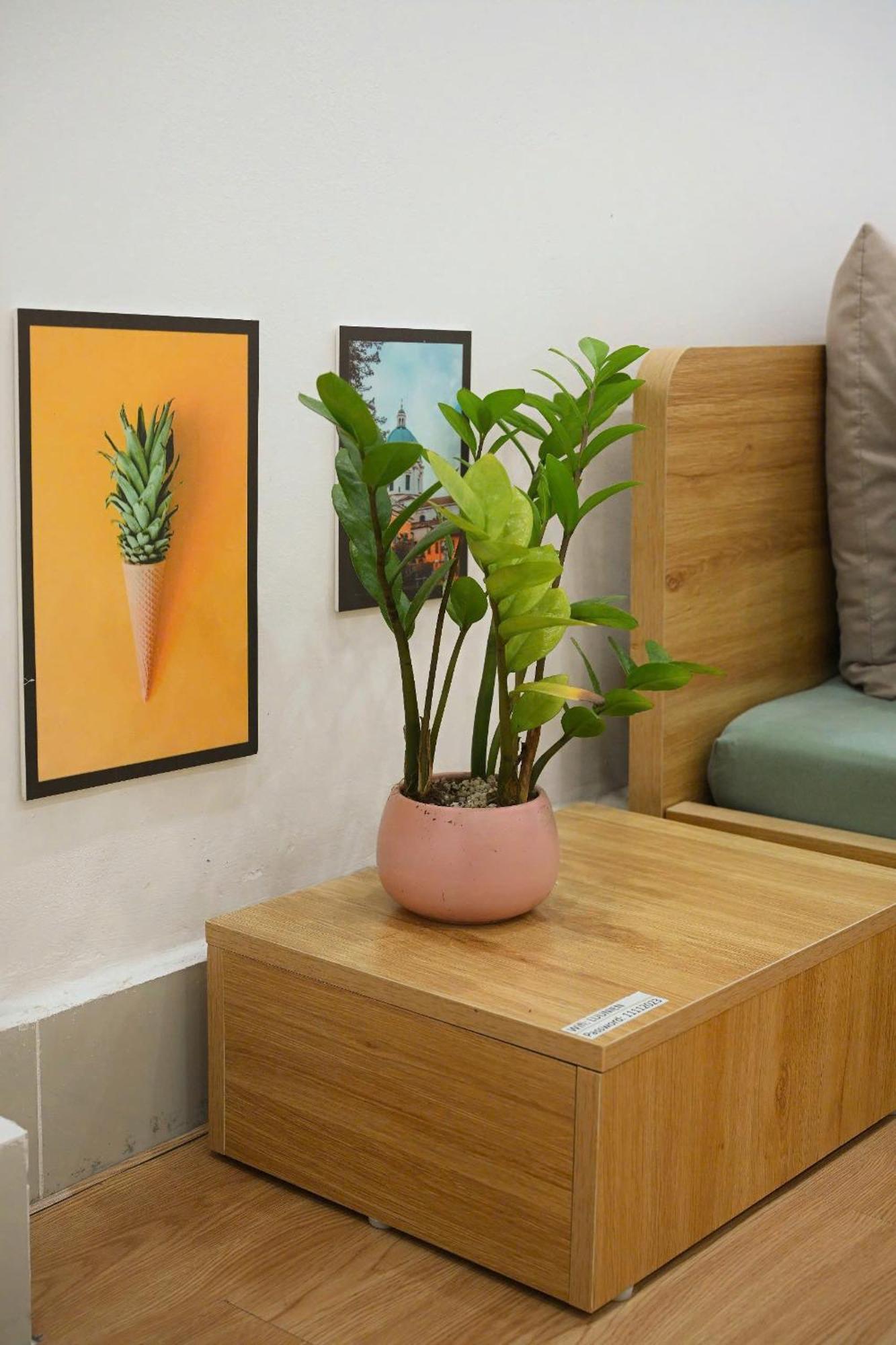 Bamboo Breeze Apartment